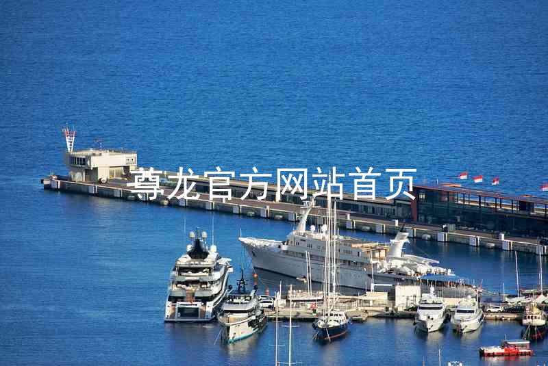 尊龙官方网站首页